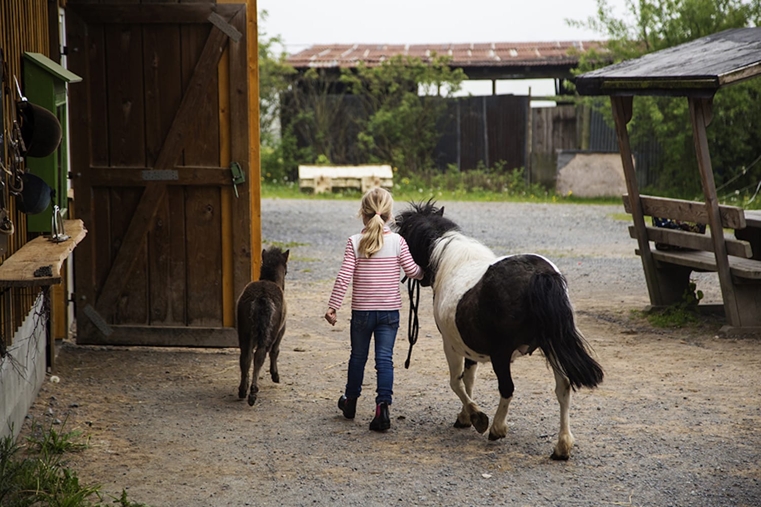 Urlaub auf dem Land für kleine Ponyfans